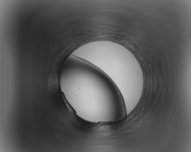 X0000089890617200706281112
