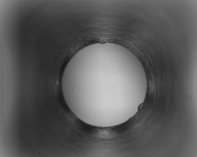 X0000089890618200706281112