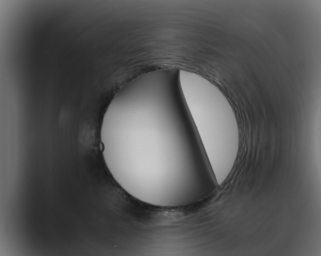 X0000089890619200706281112