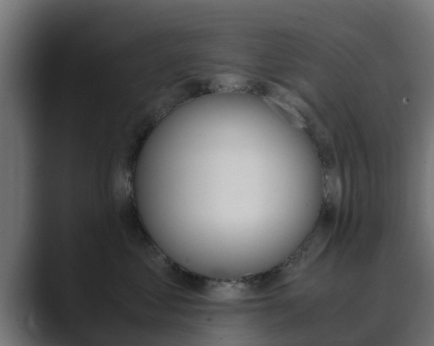 X0000089890621200706281112