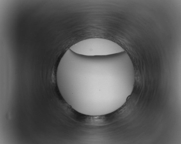 X0000089890622200706281112