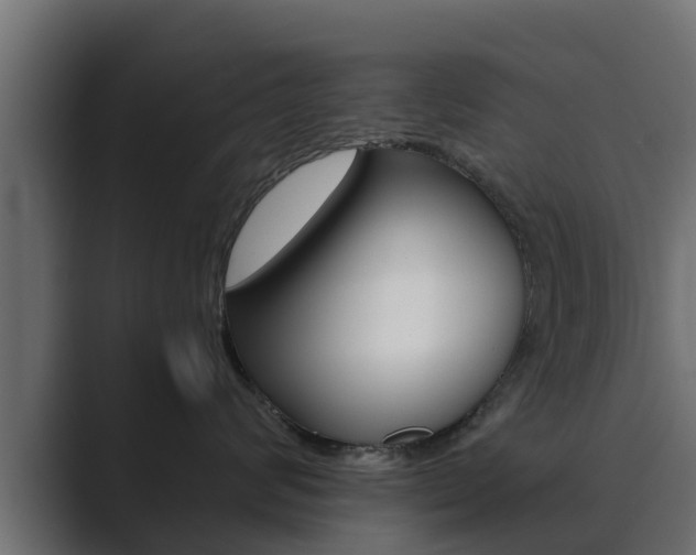 X0000089890624200706281112