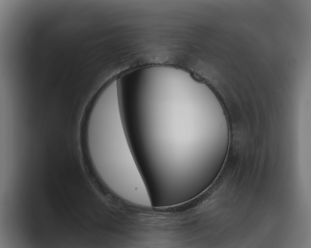 X0000089890626200706281111
