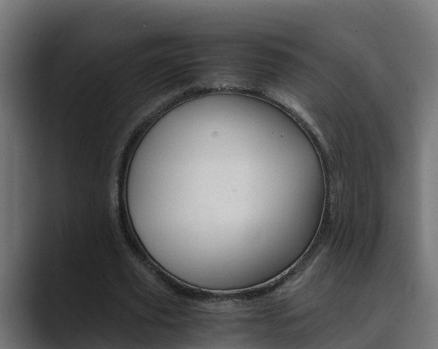 X0000089890629200706281111