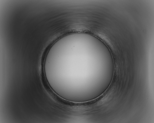 X0000089890630200706281111