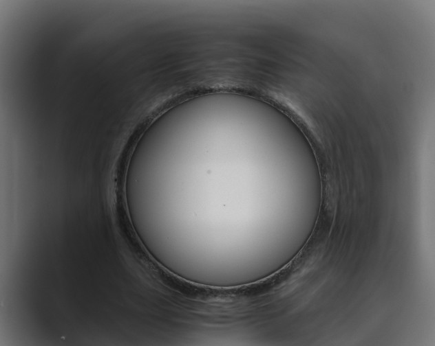 X0000089890631200706281111
