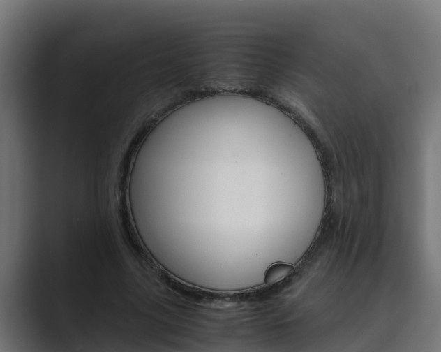 X0000089890635200706281111