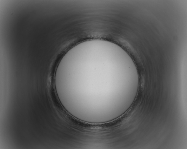 X0000089890636200706281111
