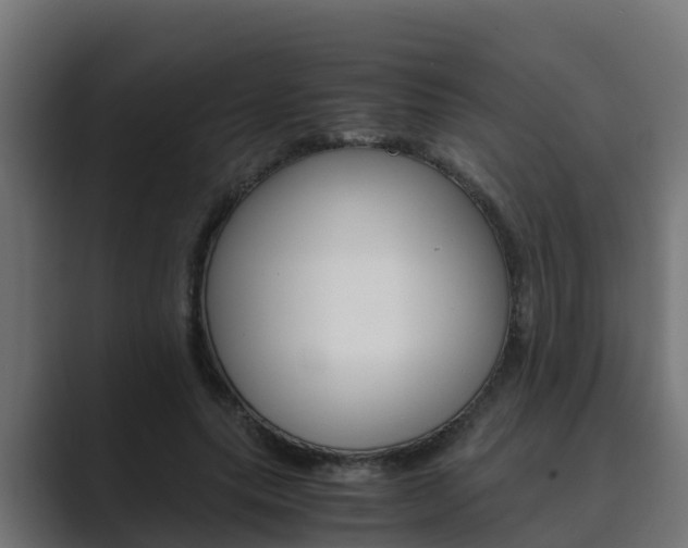 X0000089890639200706281111