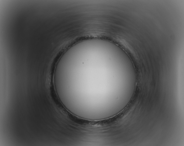 X0000089890640200706281111