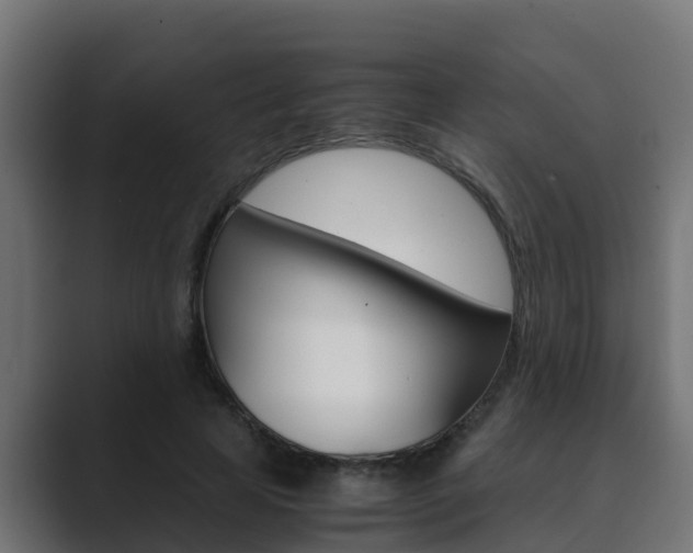 X0000089890641200706281111