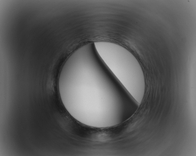 X0000089890643200706281111