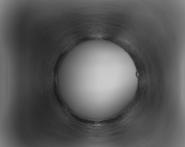 X0000089890647200706281111