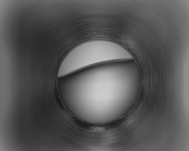 X0000089890649200706281111