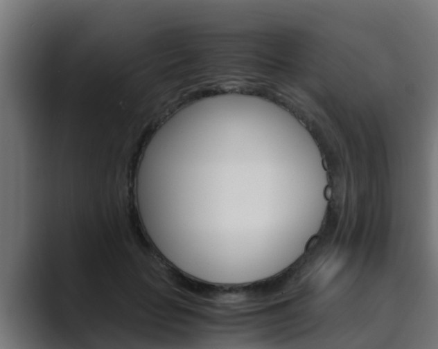 X0000089890653200706281111