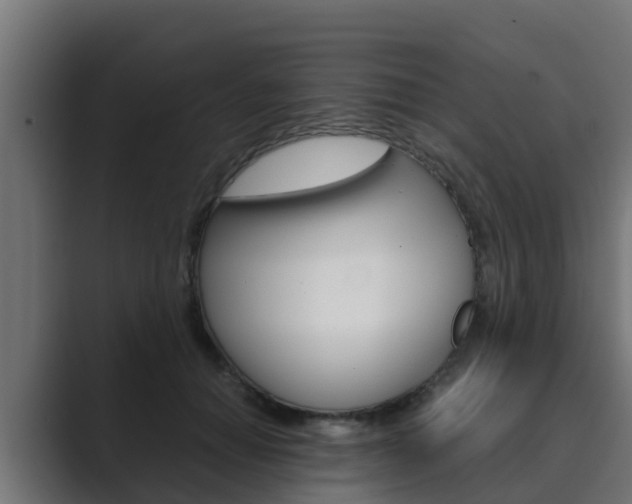 X0000089890654200706281111