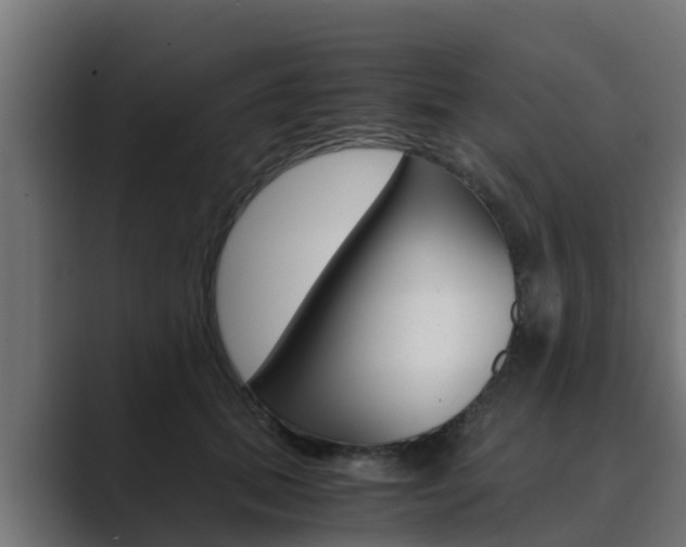 X0000089890655200706281111