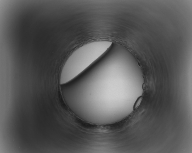 X0000089890656200706281111