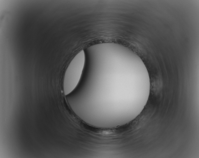 X0000089890662200706281111