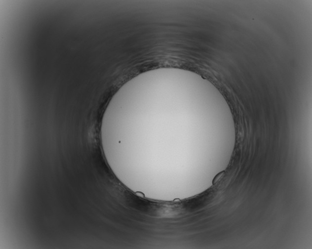 X0000089890663200706281111