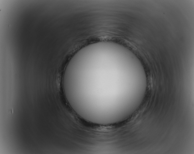 X0000089890664200706281111