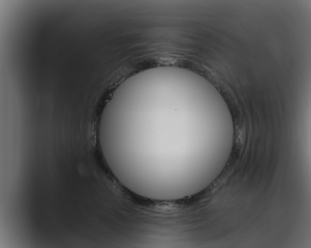 X0000089890666200706281111