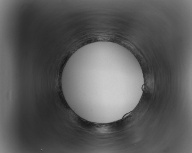 X0000089890667200706281111