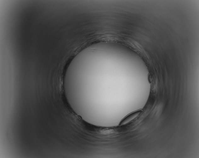 X0000089890669200706281111
