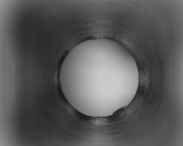 X0000089890670200706281111