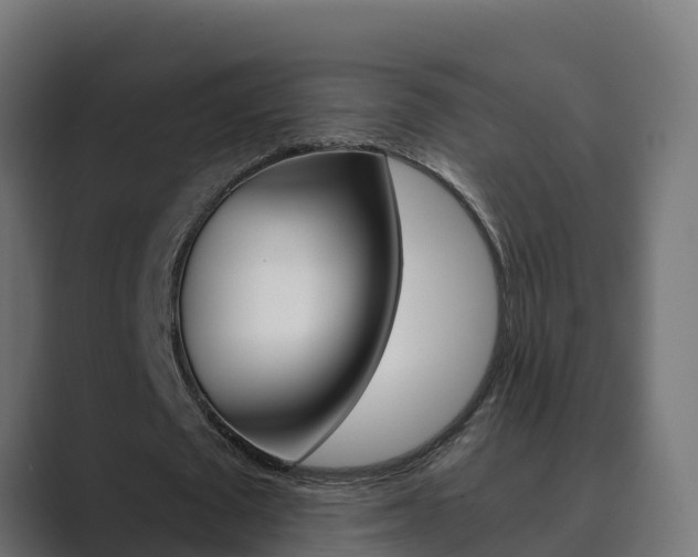 X0000089890673200706281111
