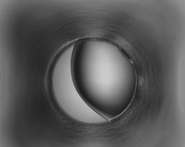 X0000089890676200706281111