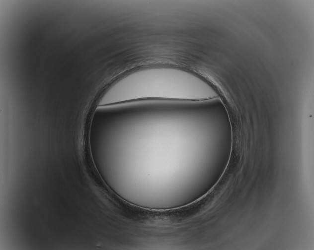 X0000089890677200706281111