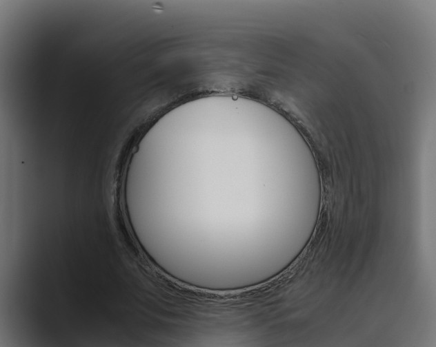 X0000089890679200706281111