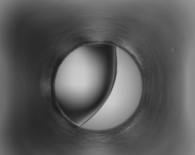 X0000089890681200706281111