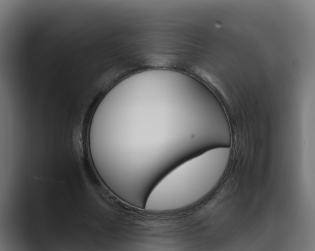 X0000089890682200706281111