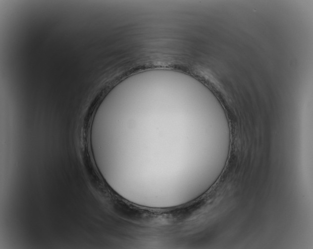 X0000089890683200706281111