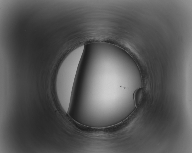 X0000089890685200706281111