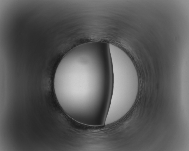 X0000089890689200706281111