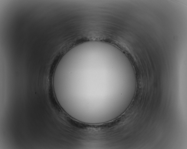 X0000089890690200706281111