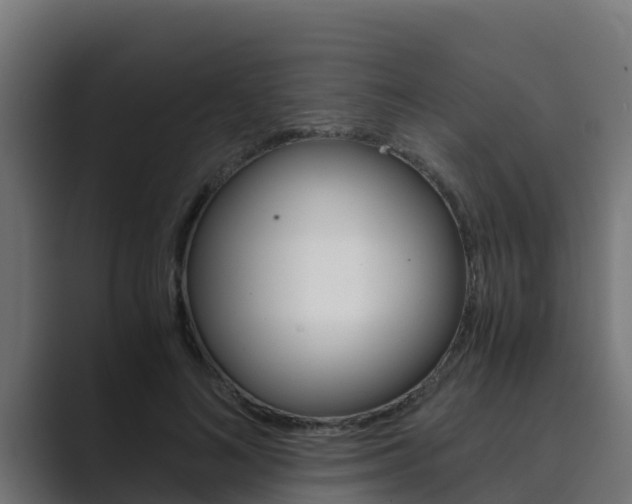 X0000089890692200706281111