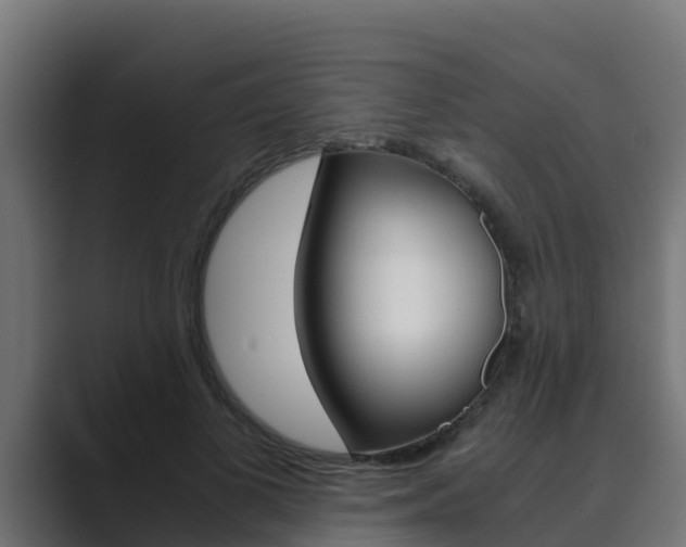 X0000089890693200706281111