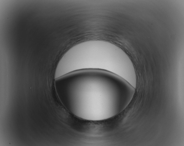 X0000089890697200706281111