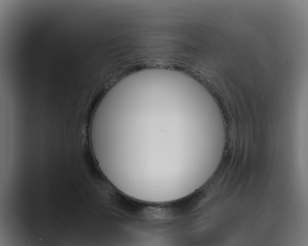 X0000089890699200706281111
