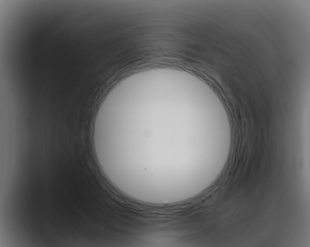X0000089890701200706281111