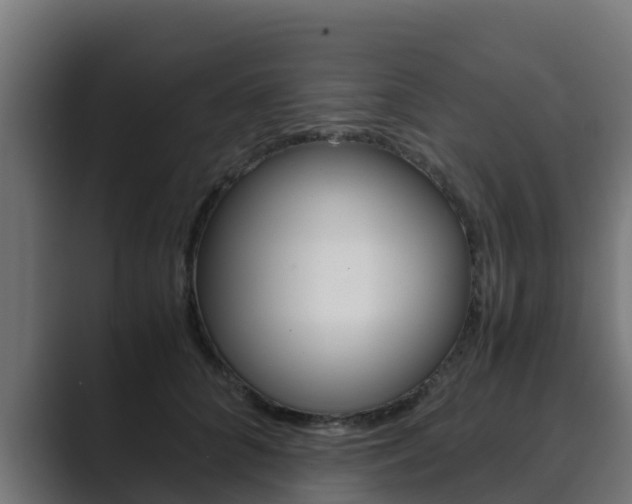 X0000089890704200706281110