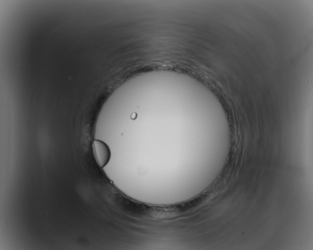 X0000089890707200706281110