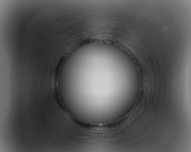 X0000089890708200706281110