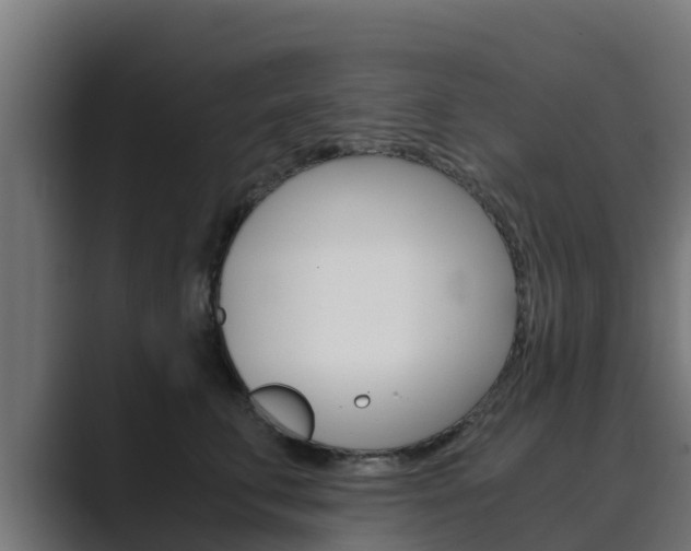 X0000089890711200706281110