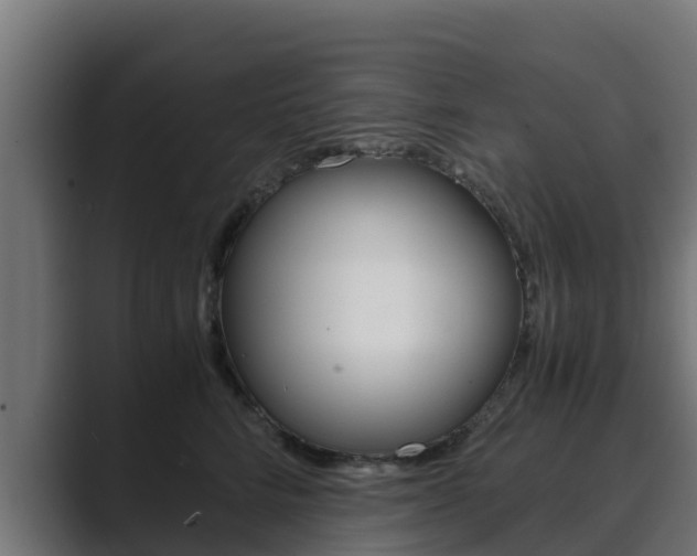 X0000089890712200706281110