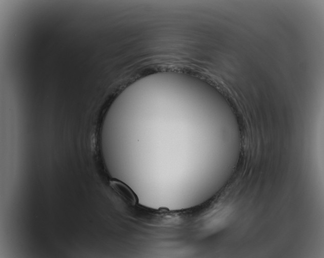 X0000089890715200706281110